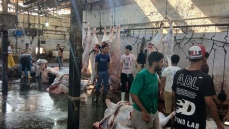 محافظ الجيزة: ذبح 4300 أضحية داخل المجازر الحكومية خلال الأيام الثلاثة الأولى لعيد الأضحى