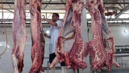 الزراعة: ذبح 7،681 أضحية بالمجازر الحكومية "مجانًا" للمواطنين في ثالث أيام عيد الأضحى