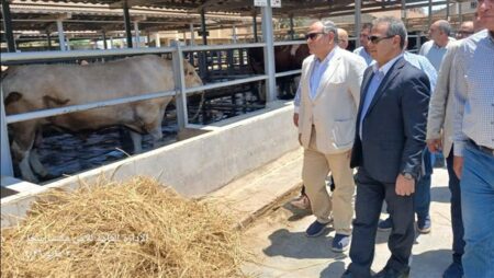 "الزراعة" تتفقد المحطات والتجارب البحثية بكفر الشيخ في رابع أيام عيد الأضحى
