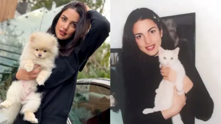 16 صورة لـ درة بين الماضي والحاضر.. والجمهور يعلق
