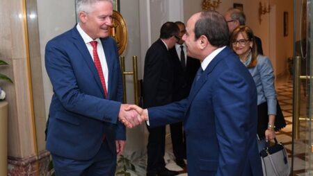 السيسي يؤكد تقدير مصر للتعاون مع منظمة OECD في المجالات الاقتصادية والتنموية.. شاهد