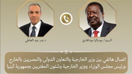 وزير الخارجية يتلقى إتصالًا هاتفيًا من نظيره الكيني لبحث العلاقات الثنائية والقضايا الإقليمية