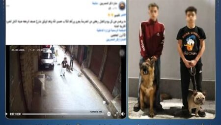 الداخلية تكشف تفاصيل واقعة ترويع الأطفال باستخدام كلبين في الجيزة