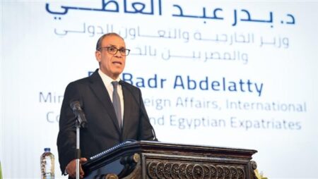 وزارتا الخارجية والتعليم العالي تنظمان احتفالية “يوم أفريقيا” بمقر جامعة القاهرة وزارتا الخارجية والتعليم العالي تنظمان احتفالية “يوم أفريقيا” بمقر جامعة القاهرة