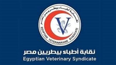 «سلامة الغذاء» تتعاقد مع أطباء بيطريين للعمل في مجال الرقابة على السوق المحلية