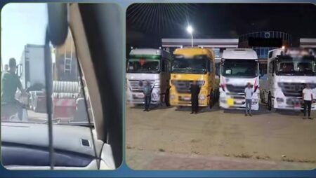 الداخلية تضبط سائقي موكب زفاف دمياط الداخلية تضبط سائقي موكب زفاف دمياط