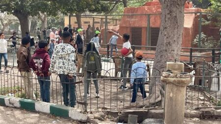 الزراعة : استقبال حدائق الحيوان الاقليمية والأسماك 38 ألف زائر في أول وثاني أيام عيد الأضحى