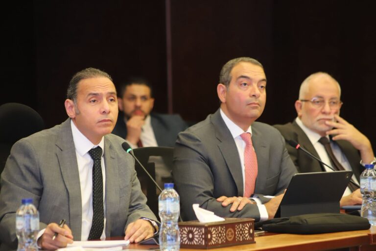 «EPEA» تمصر24توصيات دعم النمو وجذب رؤوس الأموال المحلية والأجنبية ضمن لقائها مع «الرقابة المالية»