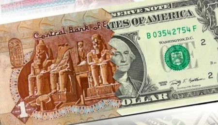 الجنيه يرتفع أمام الدولار خلال تعاملات اليوم الخميس