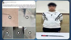 ضبط عاطل بالإسماعيلية لاتهامه بالتعدي على سيدة بسلاح أبيض