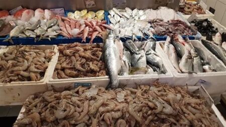 ارتفاع البوري وانخفاض الجمبري والكابوريا، أسعار السمك اليوم الإثنين 22 يونيو 2026
