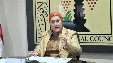 «القومي للأمومة» يناقش خططه المستقبلية ويستعرض مبادرات لرعاية وحقوق الأطفال «القومي للأمومة» يناقش خططه المستقبلية ويستعرض مبادرات لرعاية وحقوق الأطفال