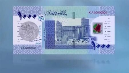 سعر الدولار مقابل الجنيه في بنك السودان المركزي مساء اليوم الأربعاء