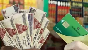 خبير اقتصادي يكشف القيمة المالية المتوقعة للفرد في منظومة الدعم النقدي