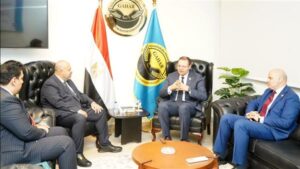 «الاعتماد والرقابة» تبحث مع المصرية للاتصالات سبل تطوير البنية التكنولوجية الصحية
