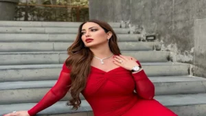 بعيدًا عن انفصالها من أحمد جوهر.. أبرز الأعمال الفنية لـ نسرين طافش