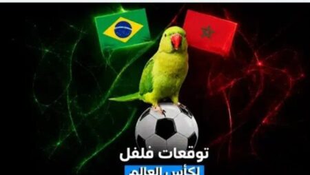 كأس العالم 2026.. العصفور فلفل يفاجئ الجماهير بتوقع مثير لمباراة المغرب والبرازيل كأس العالم 2026.. العصفور فلفل يفاجئ الجماهير بتوقع مثير لمباراة المغرب والبرازيل