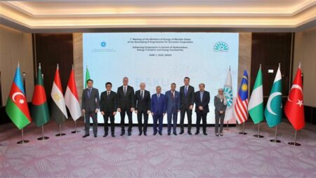 وزير البترول يؤكد أهمية التكامل الإقليمي لتحقيق أمن الطاقة