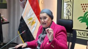 «القومي للطفولة» يتابع واقعة طفل البدرشين ويوصي بتسليمه لوالده