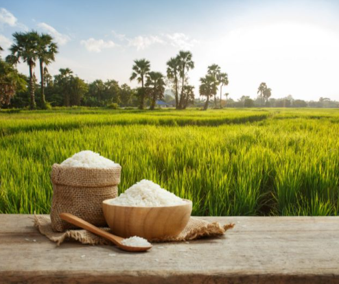 تعرف على سعر الأرز في السوق اليوم الأحد 2 تعرف على سعر الأرز في السوق اليوم الأحد