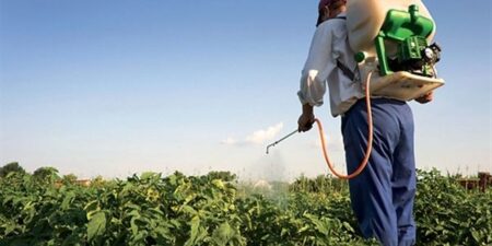 كفر الزيات للمبيدات تتحول للخسائر خلال الربع الأول كفر الزيات للمبيدات تتحول للخسائر خلال الربع الأول