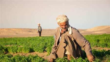 سيكم توظف البيانات لدعم الزراعة الذكية وتمويل المناخ في 2025