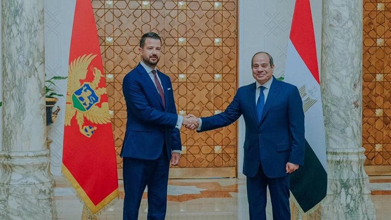 انطلاق مباحثات السيسي ورئيس الجبل الأسود لتعزيز العلاقات بين البلدين 1 انطلاق مباحثات السيسي ورئيس الجبل الأسود لتعزيز العلاقات بين البلدين