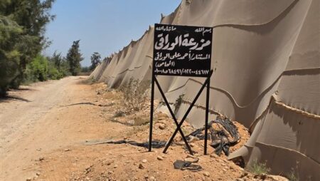 أسلحة بيضاء وسيارتان في قبضة الأمن.. تفاصيل إحباط محاولة الاستيلاء على مزرعة بالجيزة