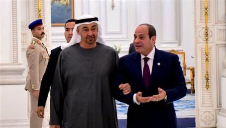 بن زايد لـ«السيسي»: يجمع قيادتي وشعبي البلدين علاقات أخوية وتاريخية