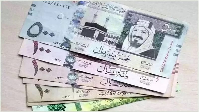 أسعار العملات الأجنبية والعربية مقابل الجنيه في البنك الأهلي 2 سعر الريال السعودي، مصر24