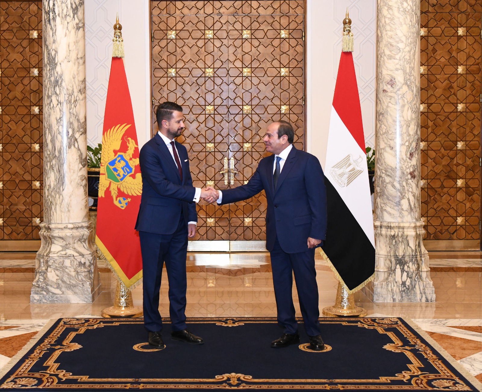 السيسي يبحث مع رئيس الجبل الأسود تعزيز التعاون الاقتصادي وأزمات الشرق الأوسط.. شاهد 3 السيسي يبحث مع رئيس الجبل الأسود تعزيز التعاون الاقتصادي وأزمات الشرق الأوسط.. شاهد