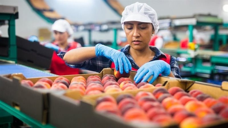 صادرات الصناعات الغذائية تسجل 3.77 مليار دولار بالنصف الأول من 2026