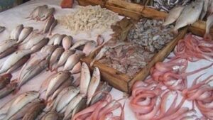 أسعار السمك اليوم، انخفاض كبير في 3 أصناف وارتفاع المكرونة السويسي 20 جنيها