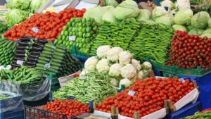 سعر الخضار اليوم، انخفاض الفاصوليا وارتفاع الفلفل والبصل والكوسة