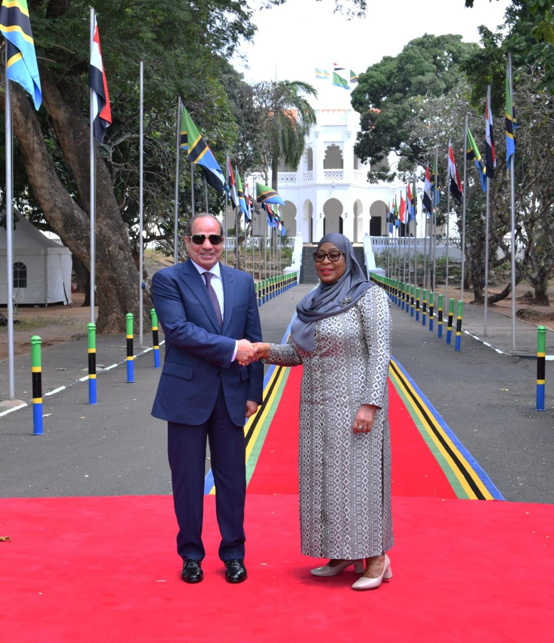 زيارة الرئيس السيسي إلى تنزانيا.. التفاصيل الكاملة (صور) 8 زيارة الرئيس السيسي إلى تنزانيا.. التفاصيل الكاملة (صور)