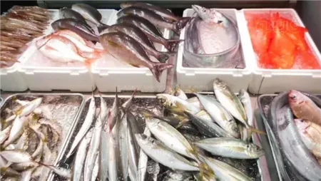 أسعار السمك اليوم، انخفاض مفاجئ في المكرونة 20 جنيها وارتفاع كبير بالجمبري