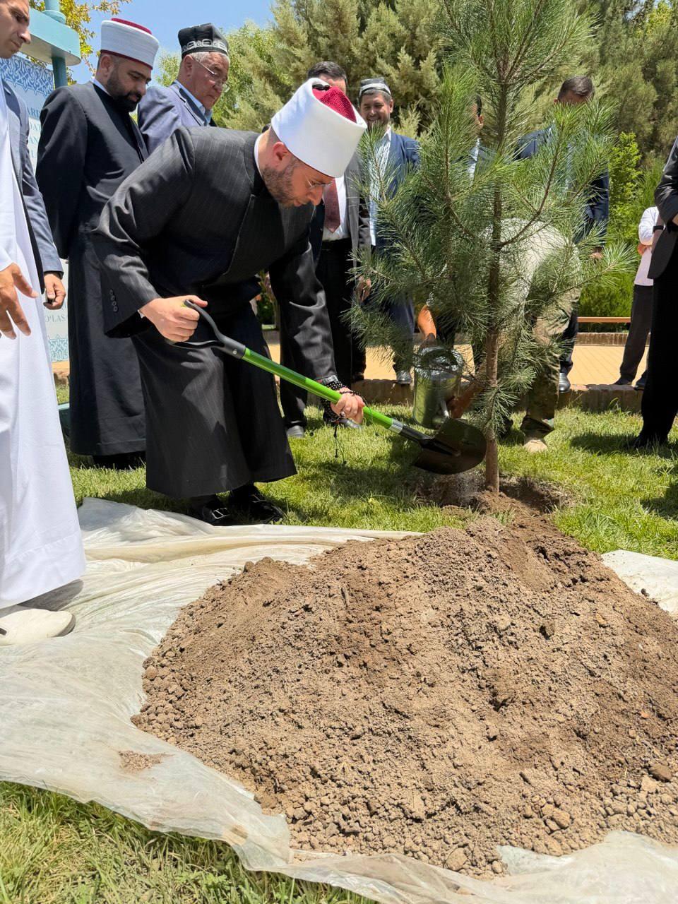 وزير الأوقاف يزور مرقد الإمام الحكيم الترمذي ويغرس "الشجرة المصرية" في رحابه (صور)