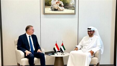 مصر والإمارات تبحثان تعزيز الاستثمارات المشتركة بقطاع الطاقة
