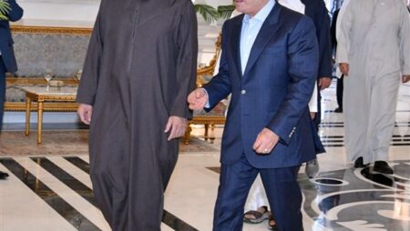 تكريم لاعبي منتخب مصر واستقبال رئيس الإمارات يتصدران نشاط السيسي الأسبوعي