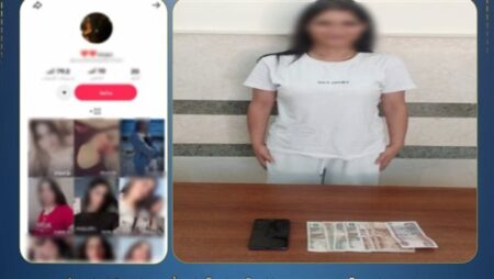 ضبط صانعة محتوى بالدقهلية لنشر فيديوهات خادشة للحياء ضبط صانعة محتوى بالدقهلية لنشر فيديوهات خادشة للحياء