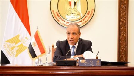 وزير الخارجية يلتقي رؤساء البعثات المصرية في الخارج
