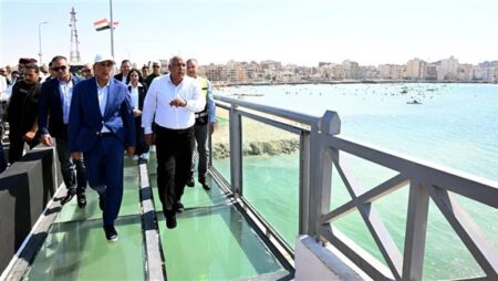 رئيس الوزراء يفتتح كوبري روميل بعد تطويره.. صور