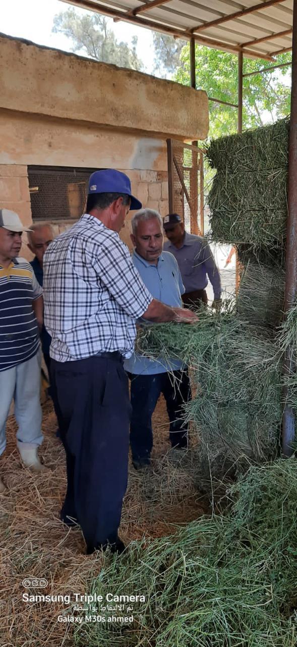 البحوث الزراعية في أسبوع، 50 نشاطًا بحثيًا وتدريبيًا ورقابيًا لدعم الأمن الغذائي وتوطين التكنولوجيا
