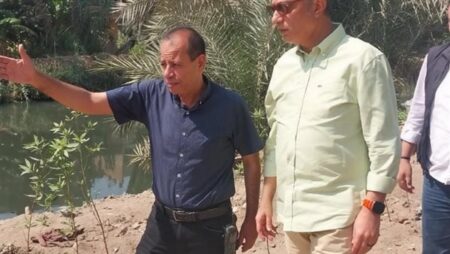 محافظ الجيزة: زراعة 3350 شجرة بأبو النمرس ضمن مبادرة «ازرع شجرة»