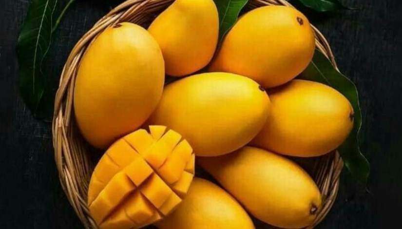 أسعار المانجو اليوم، ارتفاع النعومي وانخفاض 5 أنواع منها السكري والسنارة 2 أسعار المانجو اليوم في الأسواق، مصر24