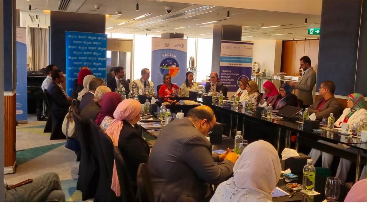 "الصحة الحيوانية" تشارك في ورشة "الفاو" لمواجهة مقاومة المضادات الحيوية 6 "الصحة الحيوانية" تشارك في ورشة "الفاو" لمواجهة مقاومة المضادات الحيوية