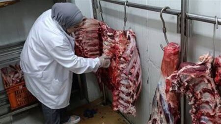تعرف على أسعار اللحوم الحمراء اليوم الاثنين 31 أغسطس 2026 تعرف على أسعار اللحوم الحمراء اليوم الاثنين 31 أغسطس 2026