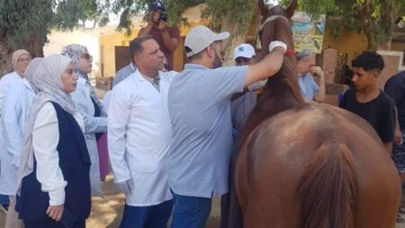 استعدادا لمونديال الفروسية.. "الخدمات البيطرية" تبدأ ترقيم خيول الأهرامات بالشرائح الإلكترونية