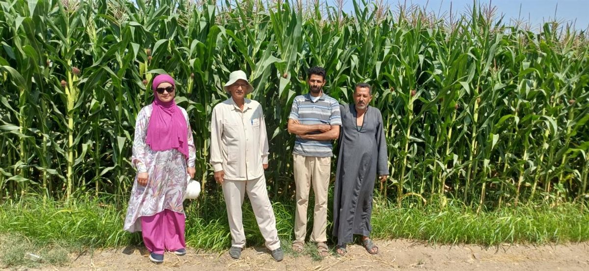 البحوث الزراعية في أسبوع، 50 نشاطًا بحثيًا وتدريبيًا ورقابيًا لدعم الأمن الغذائي وتوطين التكنولوجيا