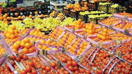 علاء فاروق يعلن تحقيق 6.8 مليون طن صادرات زراعية مصرية علاء فاروق يعلن تحقيق 6.8 مليون طن صادرات زراعية مصرية